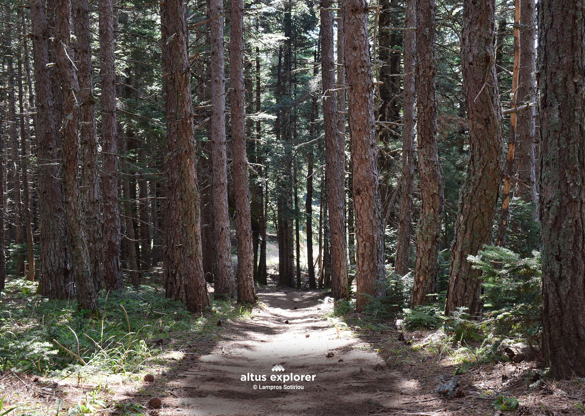 TRAIL IN GREECE