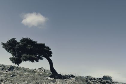 theuphill