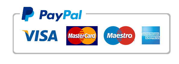 paypal logo payment