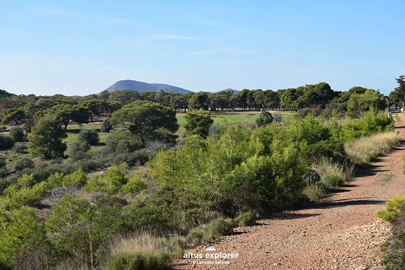 Εθνικος δρυμος Σουνιου