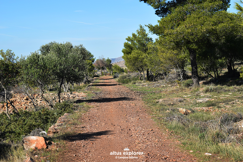 Εθνικος δρυμος Σουνιου