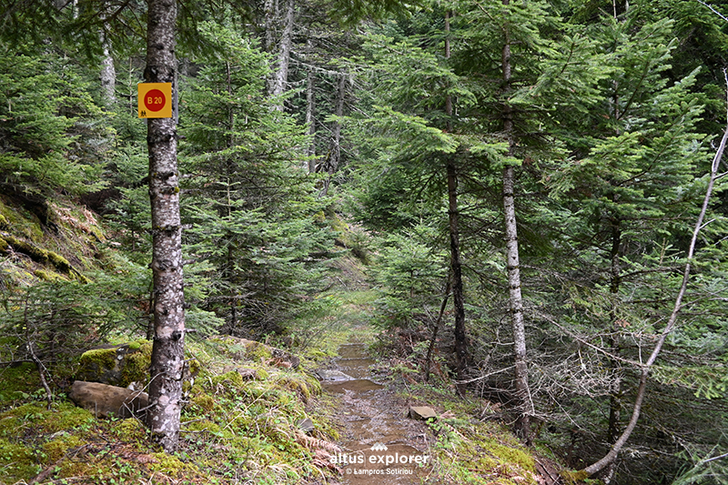 Πεζοπορικο μονμοπάτι προς γεφυρι Καμαρα