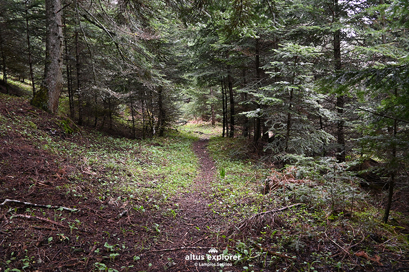 Πεζοπορικο μονμοπάτι προς γεφυρι Καμαρα - Altus Explorer