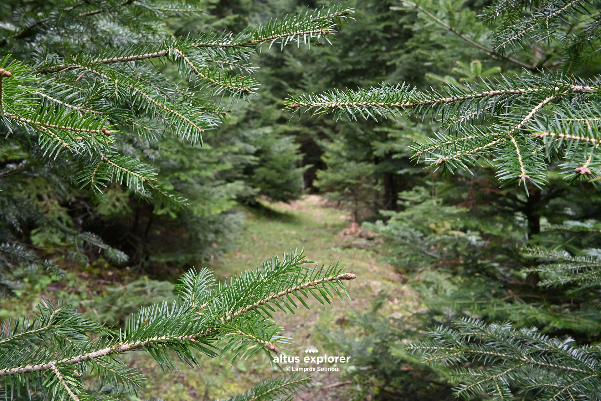 Μονμοπατι για Καμαρα - Altus Explorer