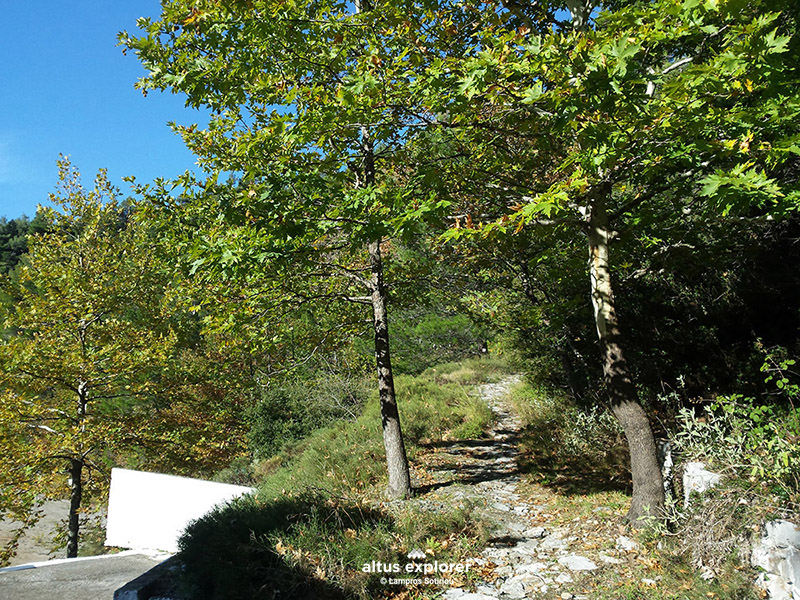 hiking trail Dirfi - πεζοπορια διρφη